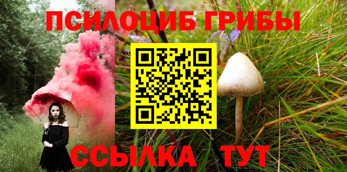 Великий Устюг  где найти   Вход с VPN  Галлюциногенные грибы GOLDEN TEACHER  Псилоцибиновые грибы прущие грибы 