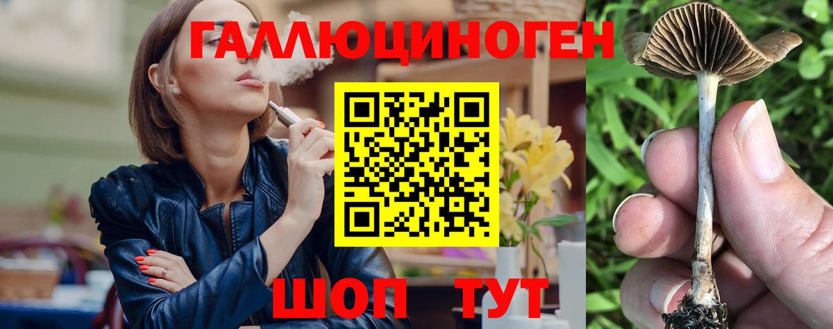 Псилоцибиновые грибы Magic Shrooms Великий Устюг
